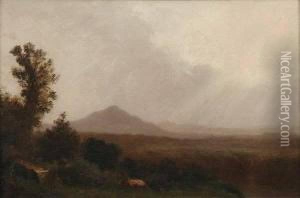Kauterskill Clove (catskill Mountains) Oil Painting - Sanford Robinson Gifford