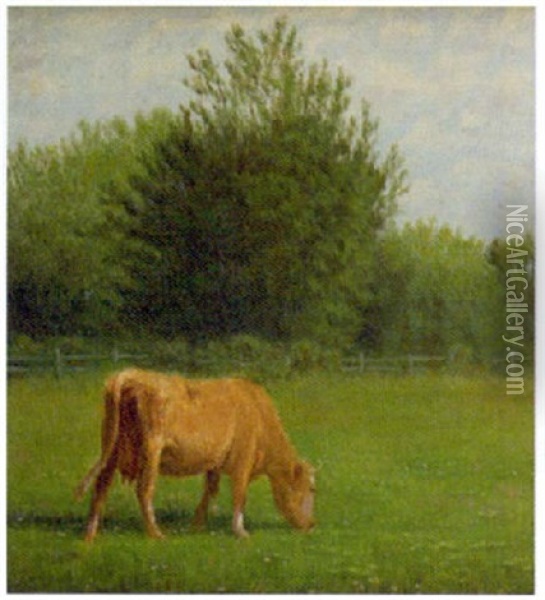 Cow Grazing Oil Painting - Clinton Loveridge