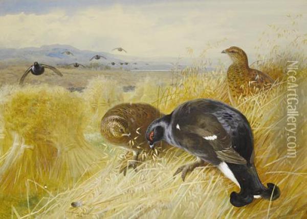 On The Stooks - Blackgame Oil Painting - Archibald Thorburn