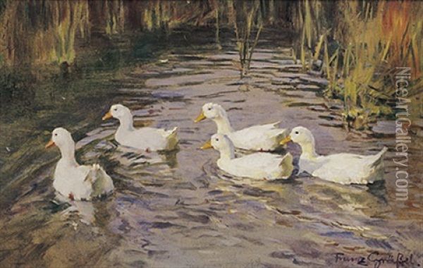 Funf Weise Enten Im Teich Oil Painting - Franz Graessel