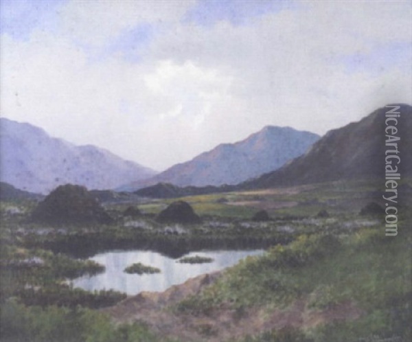 Connemara Landscape At Recess Oil Painting - Douglas Alexander