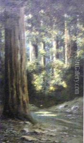 A Forest Interior Oil Painting - Richard Detreville