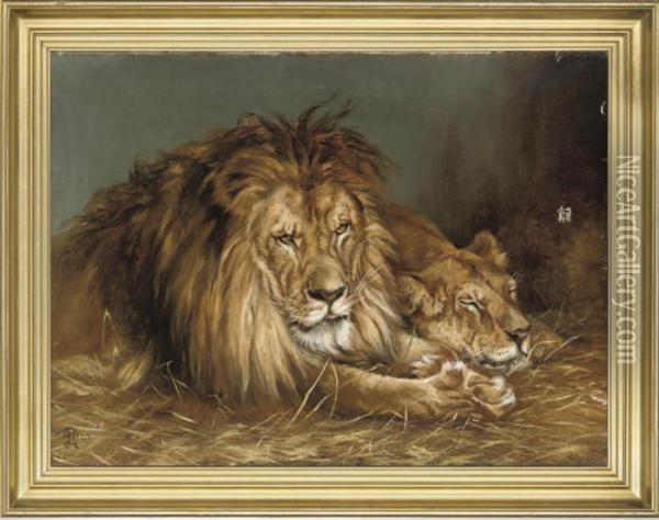 A Lion And A Lioness Oil Painting - Geza Vastagh
