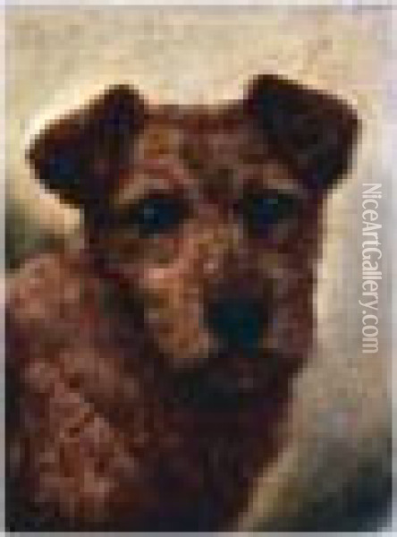 Welsh Border Collie; Terrier; Irish Terrier Oil Painting - John Arnold Wheeler