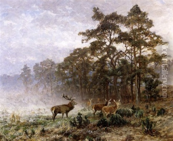 Deers At Dawn Oil Painting - Alfred von Bruehl