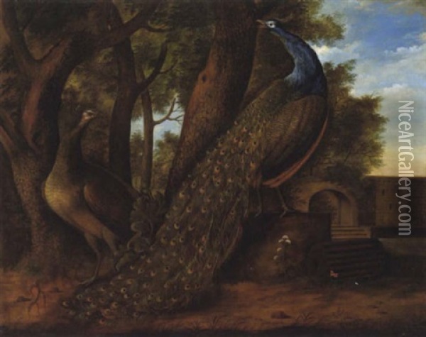 Pfauenpaar In Einem Schlospark Oil Painting - Johann Seitz