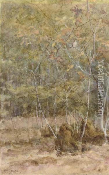 Oak Twigs In Spring Oil Painting - Helen Mary Elizabeth Allingham