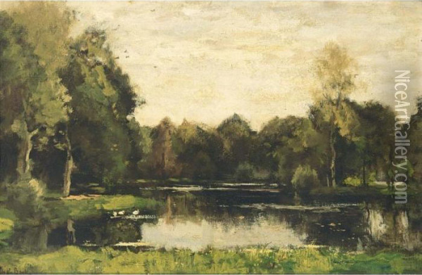 A Pond In A Wooded Landscape Oil Painting - Theophile Emile Achille De Bock