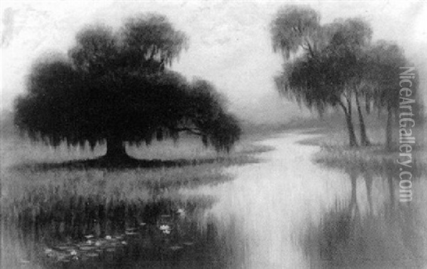 Misty Bayou With Lily Pads Oil Painting - Alexander John Drysdale