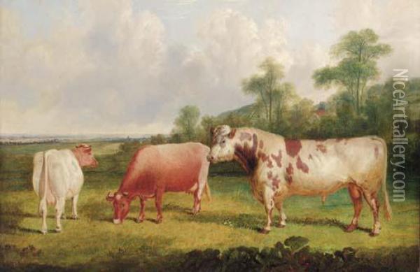A Bull And Cows In A Wooded Landscape Oil Painting - John Frederick Herring Snr