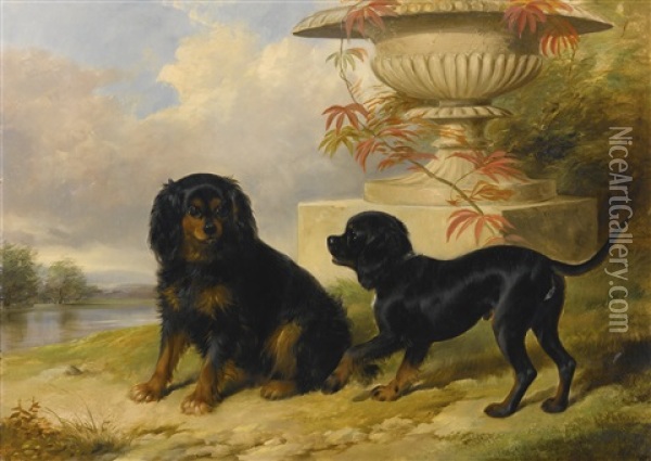 Portrait Of Lord Methuen's Spaniels, Gipsy And Fairy Oil Painting - William Barraud