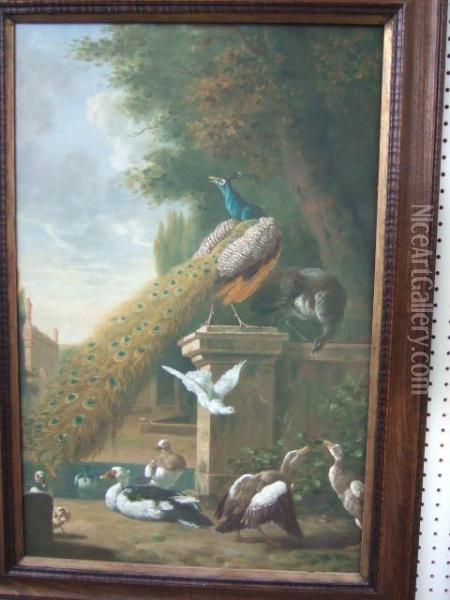 Peacocks With A Concert Of Birds Oil Painting - Pieter Casteels