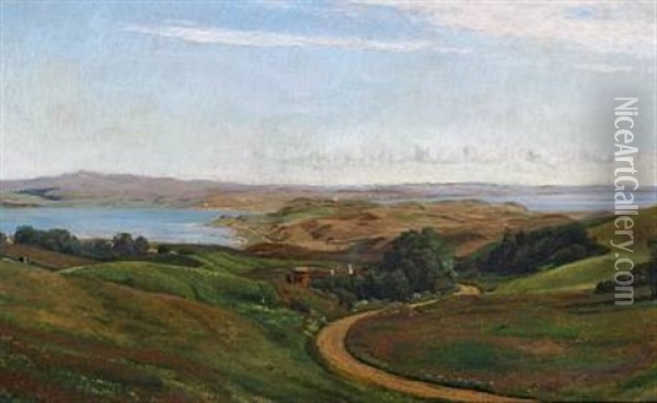 View Of Mols Bjerge Oil Painting - Janus la Cour