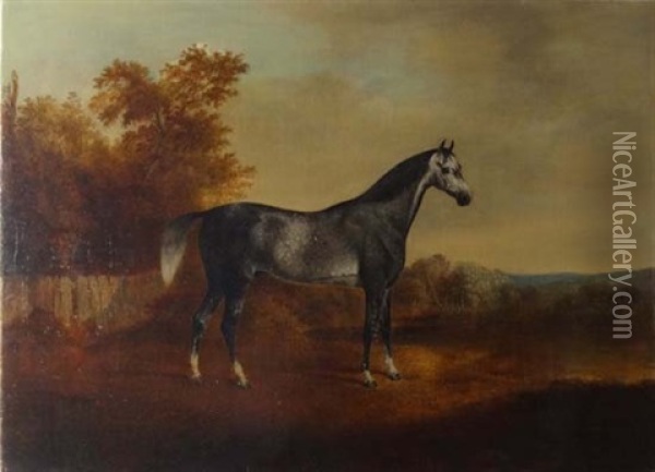 Dapple Grey Arab Stallion In A Landscape Oil Painting - John Boultbee