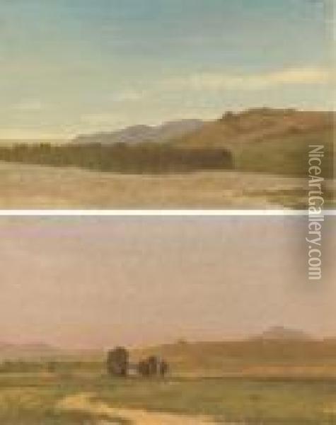 The Plains Near Fort Laramie; And Nebraska, On The Plains: A Pairof Works Oil Painting - Albert Bierstadt