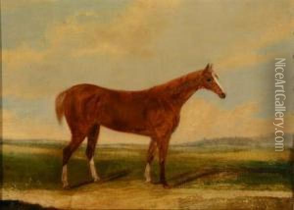 Chestnut Racehorse In An Open Field Oil Painting - John R. Hobart