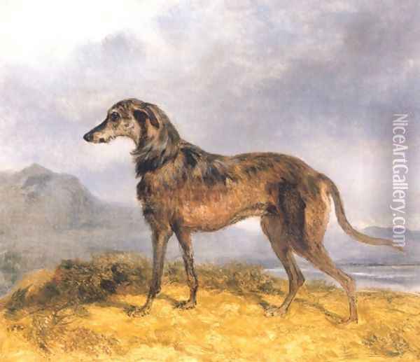 Scottish Deerhound Oil Painting - John Frederick Herring Snr