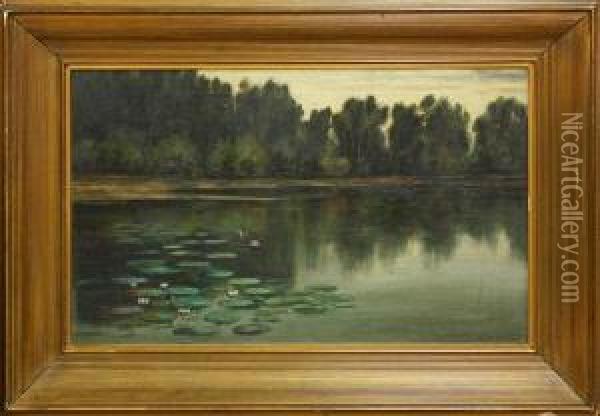 Lily Pond With Ducks Oil Painting - Edward Wilson Currier