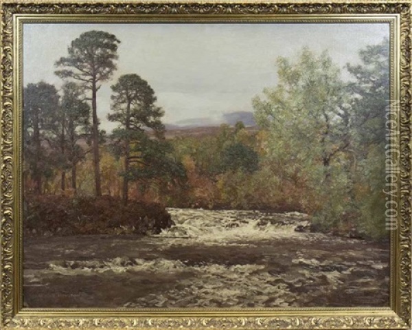 The River Dochart Oil Painting - George Houston