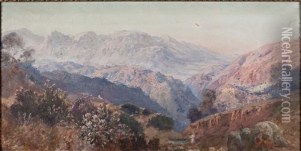 Lauriers Rose Dans Les Montagnes De Kabylie Oil Painting - Maxime Noire
