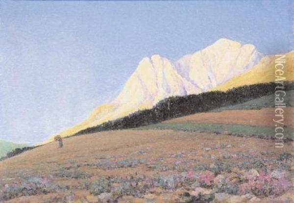 Paesaggio Montano Oil Painting - Guido Meineri