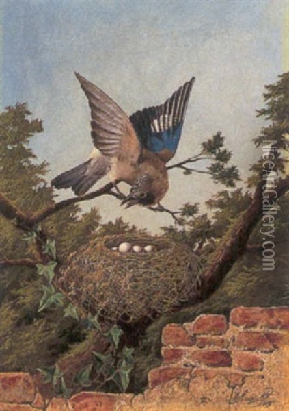 Guarding The Nest Oil Painting - Michelangelo Meucci