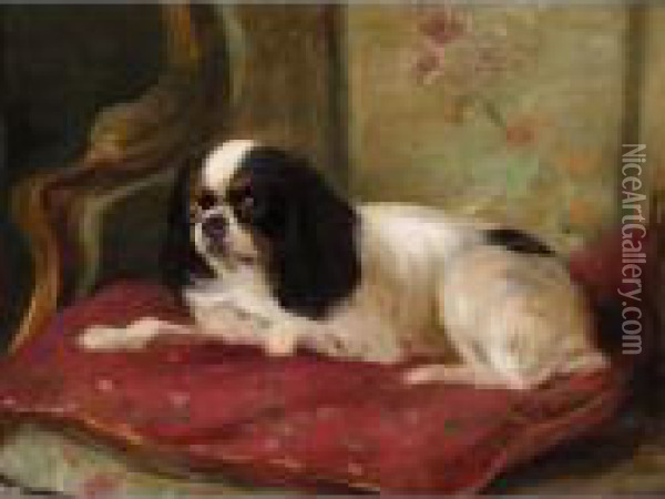 A Cavalier King Charles Spaniel Oil Painting - Cuthbert Edmund Swan