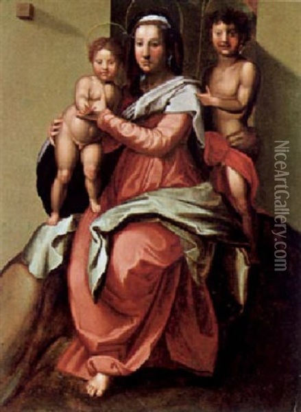 Madonna Con Il Bambino E San Giovanni Oil Painting - Andrea Del Sarto
