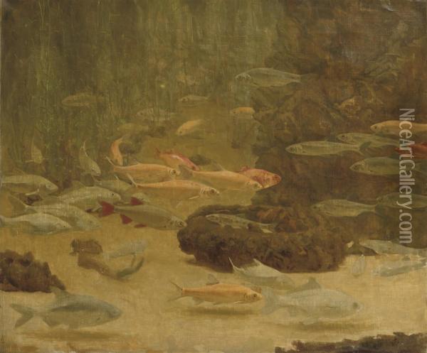 Goudvissen: A Shoal Of Goldfish Oil Painting - Gerrit Willem Dijsselhof