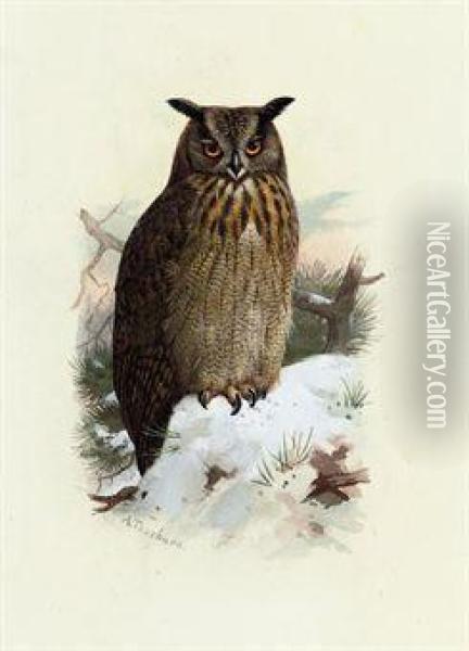 Eagle-owl Oil Painting - Archibald Thorburn