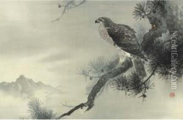 Hawk On Pine Oil Painting - Kano Sueyori