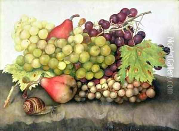 Snail with Grapes and Pears Oil Painting - Giovanna Garzoni