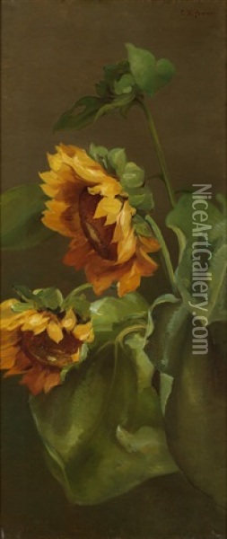 Sunflowers Oil Painting - Charles Porter