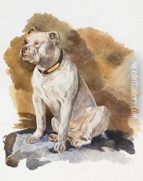 A Portrait Of An English Bull Terrier Oil Painting - John Isaac Richardson