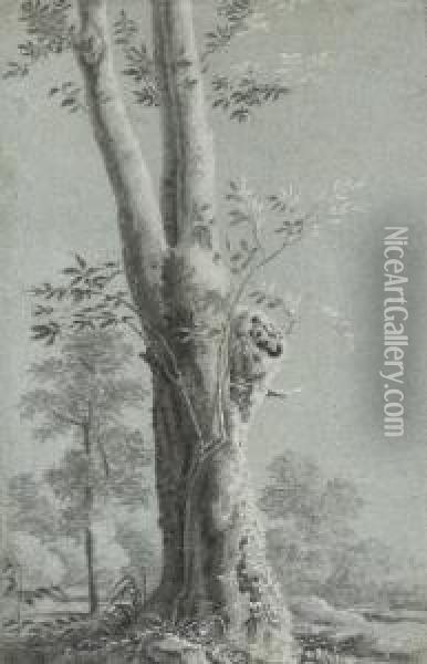 A Tree Oil Painting - Bernardino Minozzi