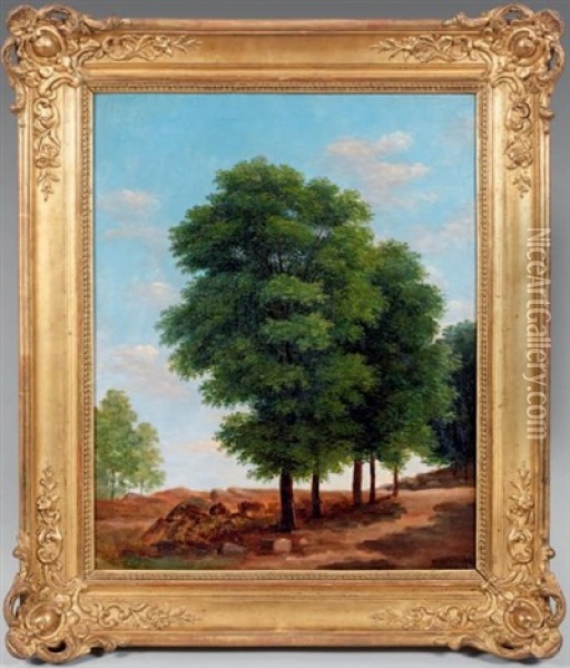 Etude D'arbre (study) Oil Painting - Jean Victor Bertin