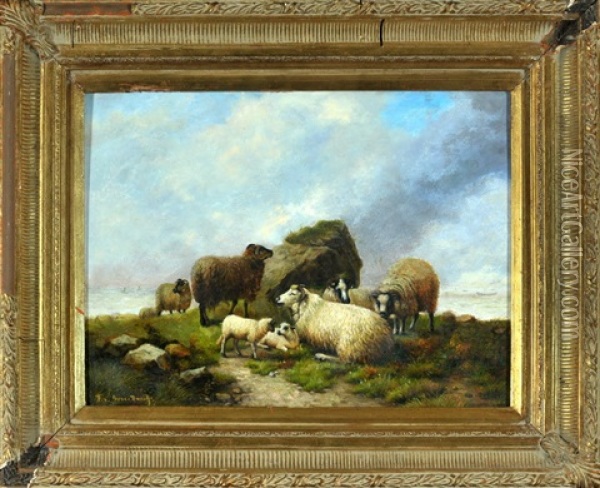 Heidschnucken Auf Der Weide An Der See Oil Painting - Franz van Severdonck