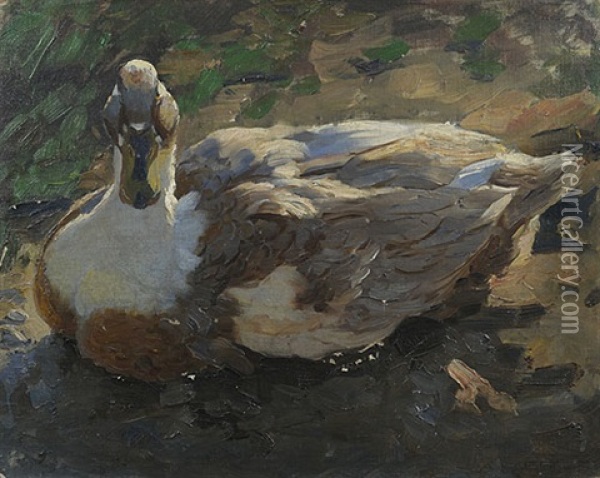 Ente Im Teich Oil Painting - Alexander Max Koester