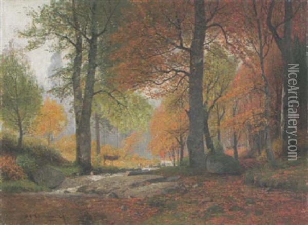 Lichter Herbstwald Mit Hirsch Oil Painting - Adolf Gustav Schweitzer