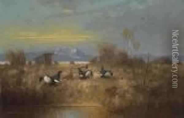 Birkhahne Und -hennen In
 Moorlandschaft. Oil Painting - Otto Scheuerer