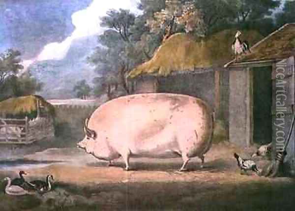 A Leicester Sow 2 years old the property of Samuel Wiley Oil Painting - William Henry Davis