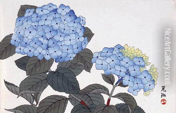 Hortensje Oil Painting - Ogata Korin