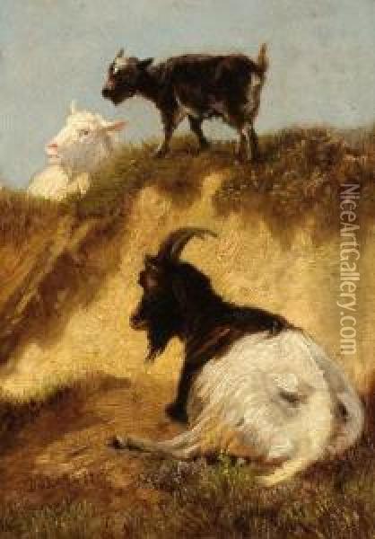 Three Goats In A Landscape Oil Painting - Dirk Peter Van Lokhorst