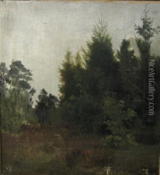 En Lysning I Skoven, Sommer Oil Painting - Viggo Johansen