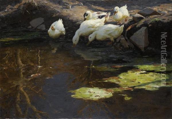Funf Enten Am Teich Bei Abendstimmung Oil Painting - Alexander Max Koester
