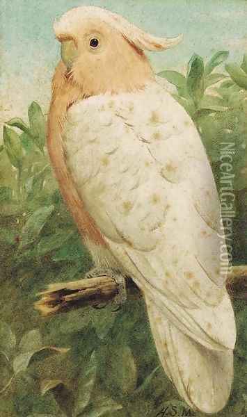 Pink cockatoo Oil Painting - Henry Stacy Marks