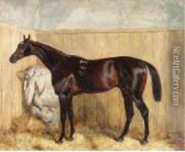 A Bay Racehorse In A Stable Oil Painting - Harry Hall