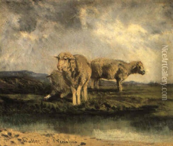 Pecore Nel Paesaggio Oil Painting - Giuseppe Palizzi