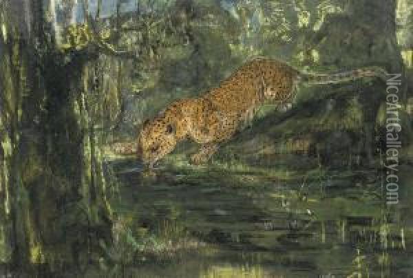 Leopard Drinking From A Stream In The Jungle Oil Painting - John Macallan Swan