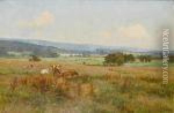 Cattle In A Meadow Oil Painting - Edward Wilkins Waite